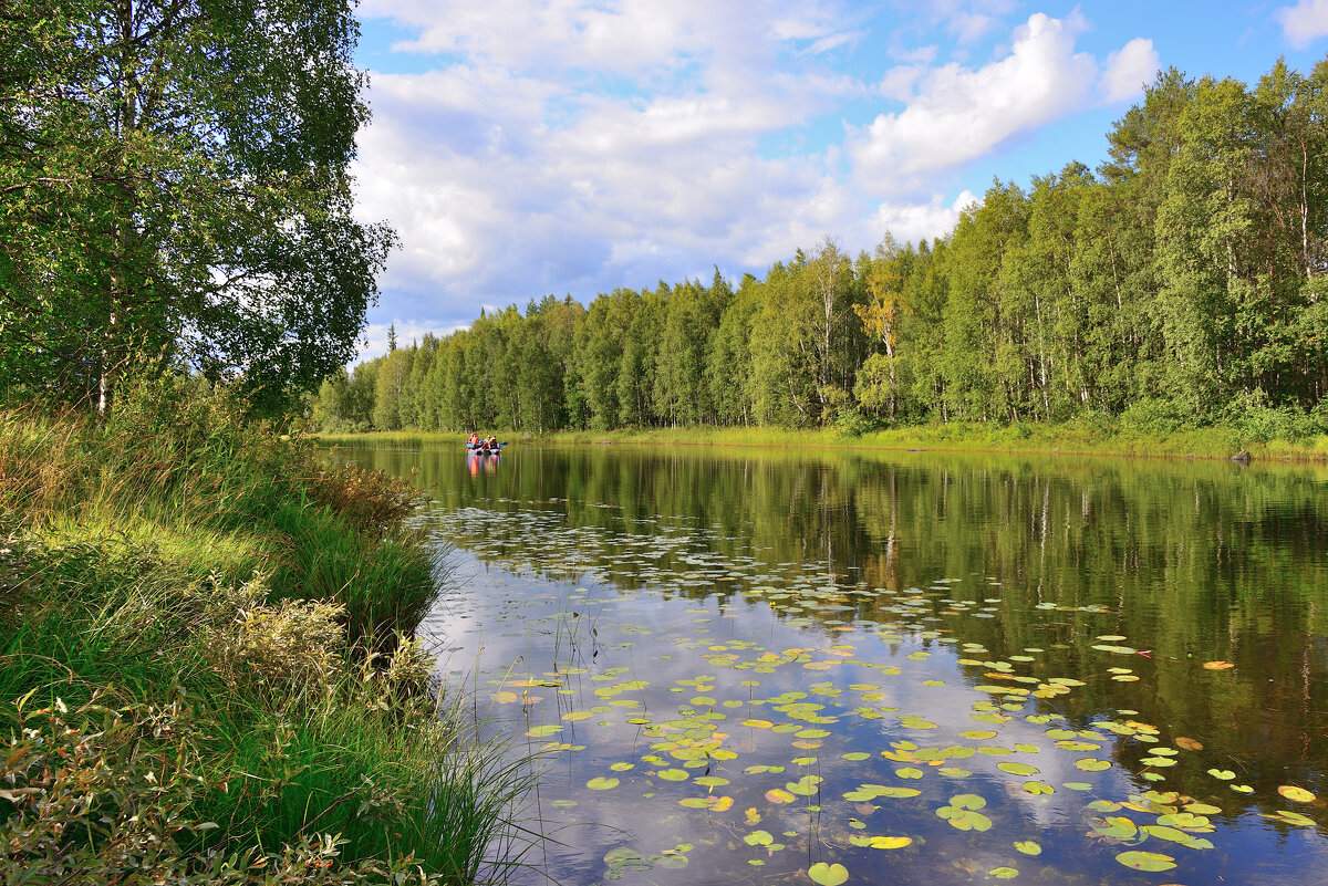 *** - Александр Хаецкий