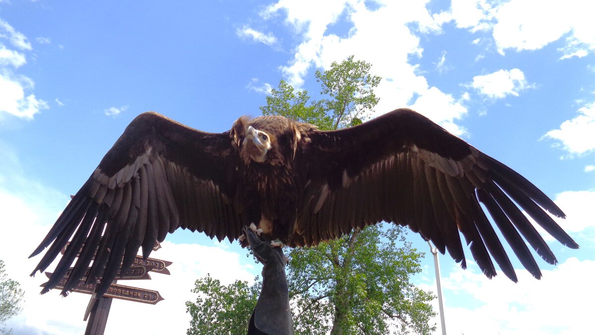 Рамах - Наталья 