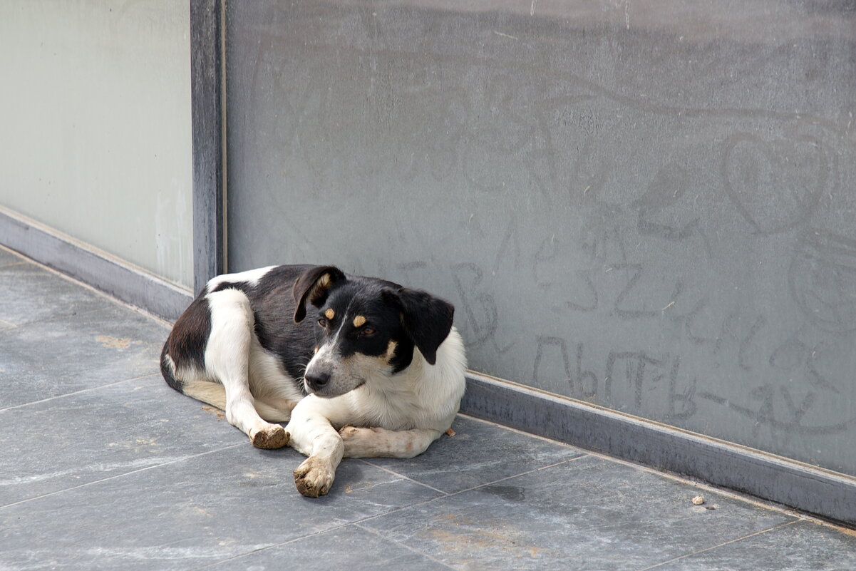 разбудили - M Marikfoto