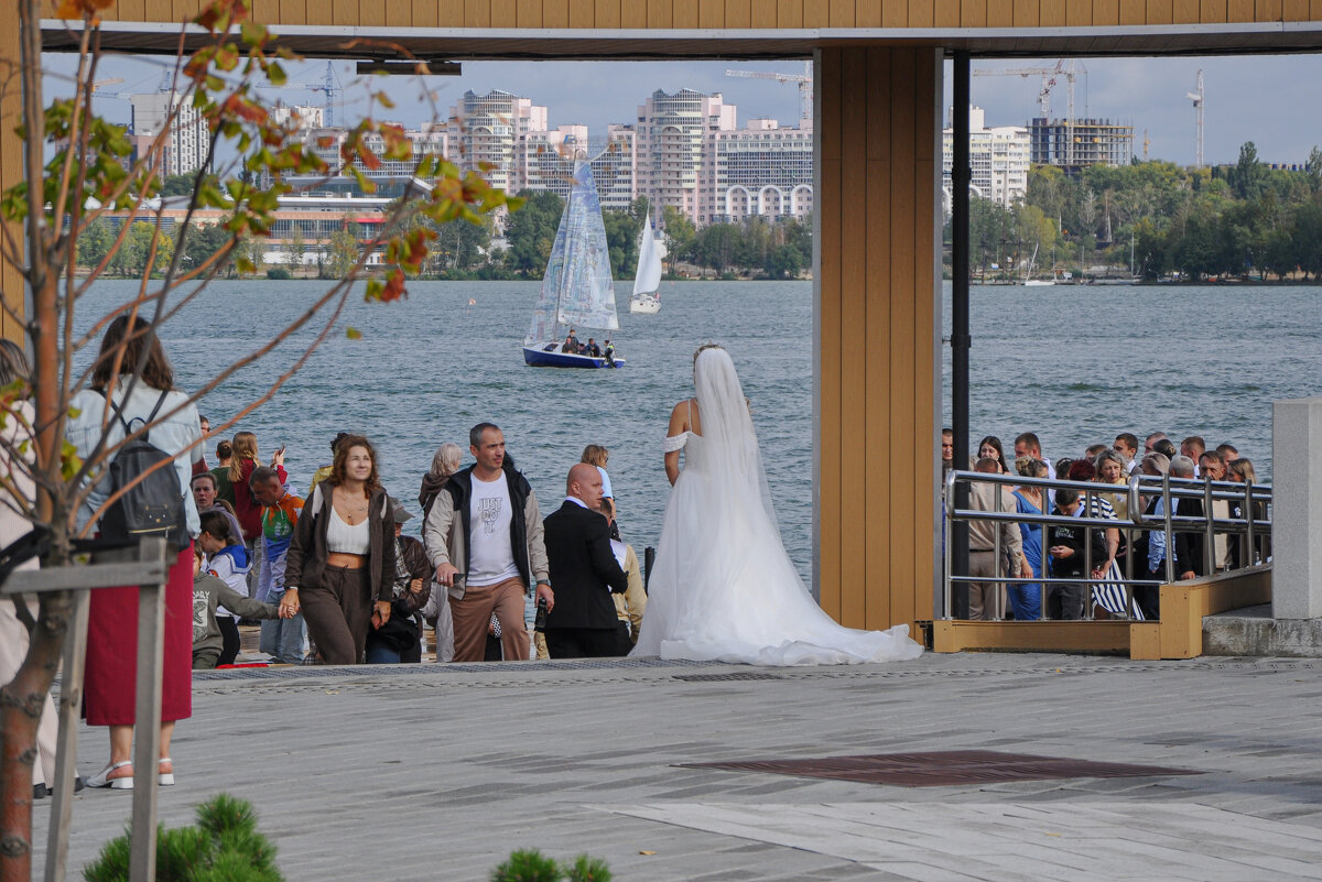 Прощай, День города! - Татьяна Машошина