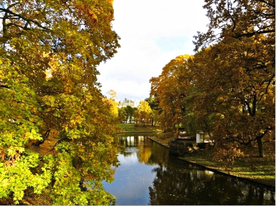 осень - марта Камушкина