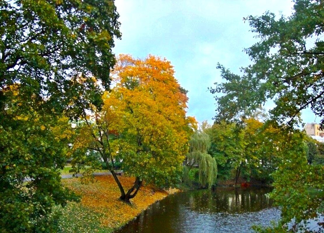 осень - марта Камушкина