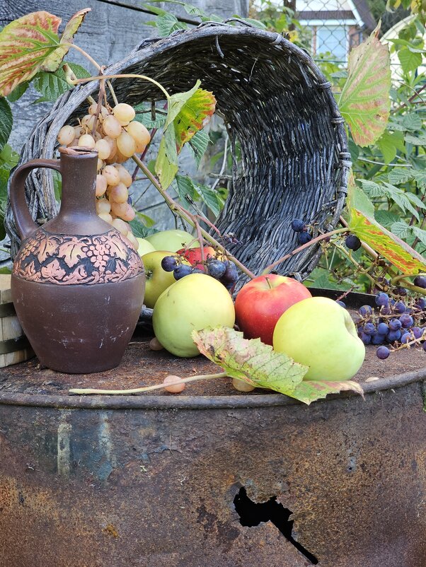 Урожай. - Галина Левина Урожай. - Галина Левина