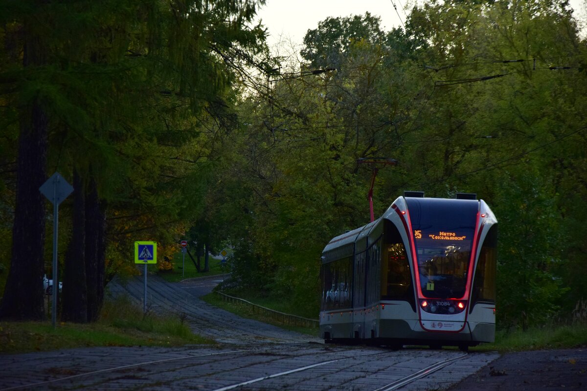 Трамвай уходящий в сказочный лес)) - Мария Яковлева