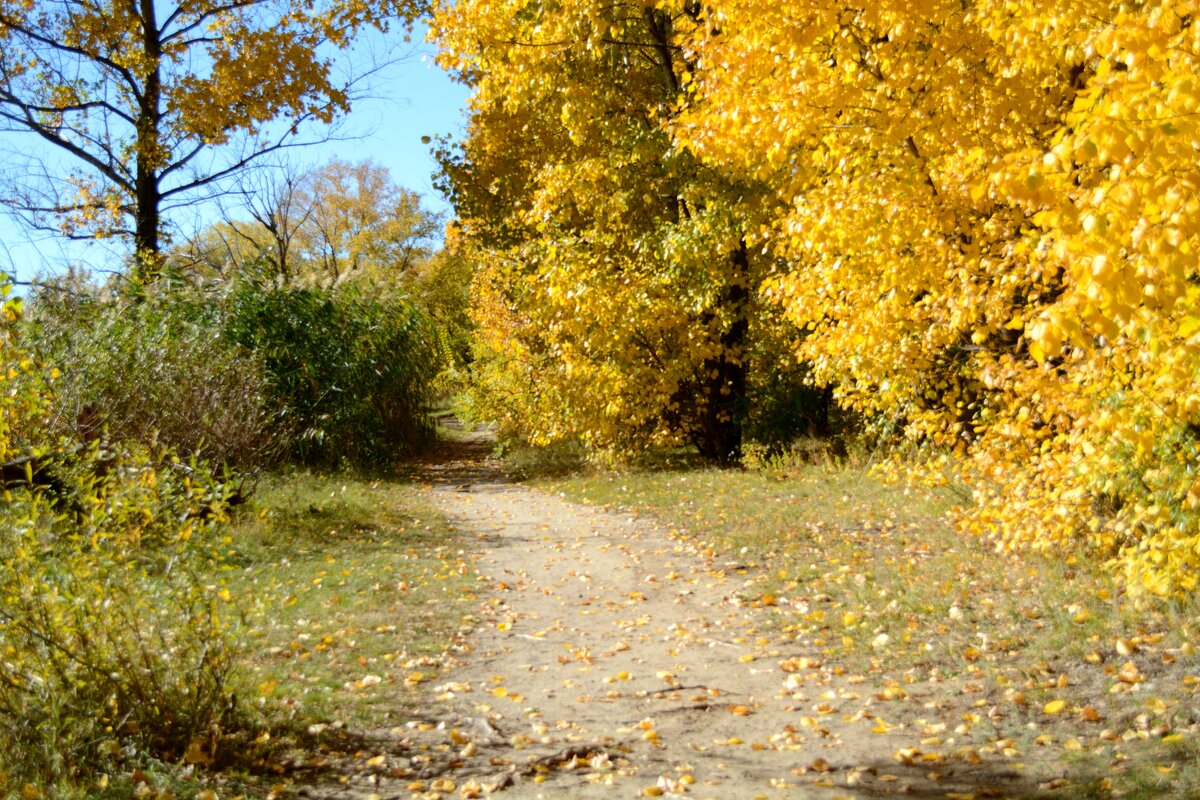 В парке - Андрей Л. В. В парке - Андрей Л. В.