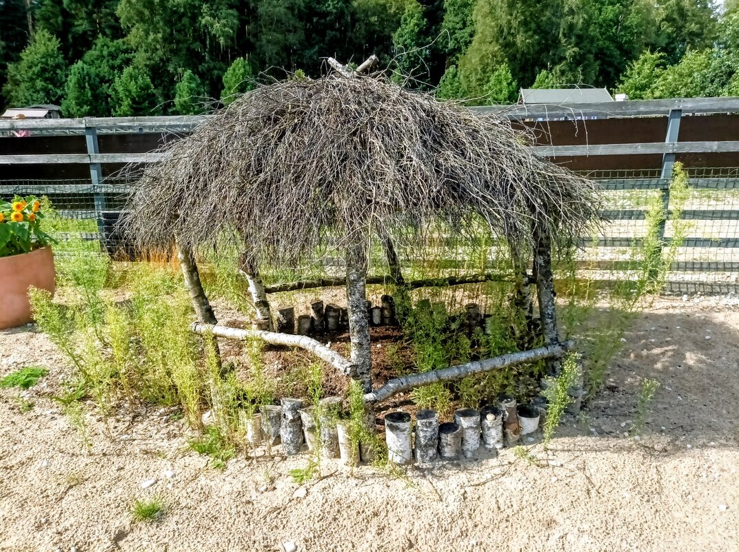 Беседка для китайских  шелковых куриц) - Veera V