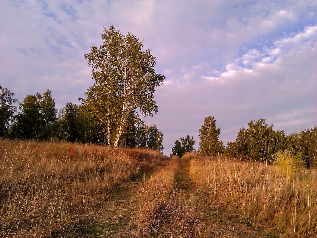 Дорогами Осени ) - Елена Хайдукова  ( Elena Fly )