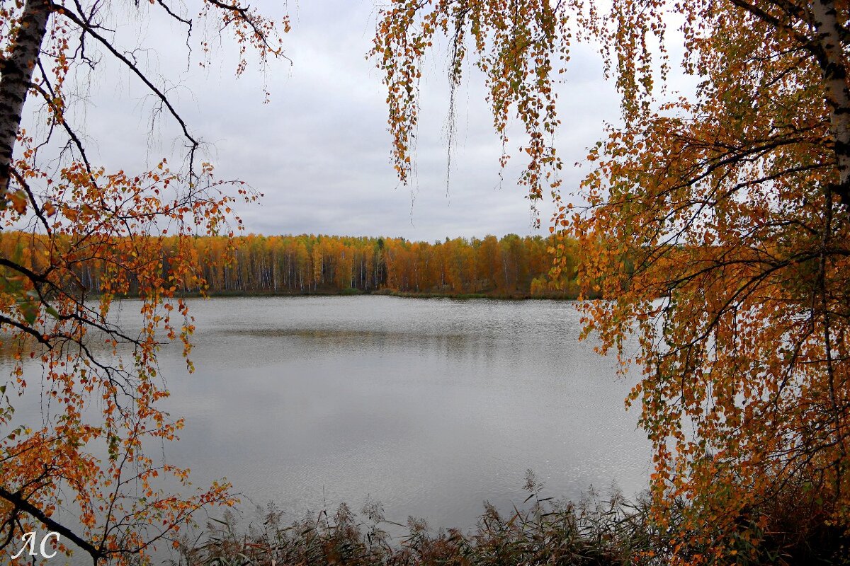 Шагает осень по Уралу - Любовь Сахарова