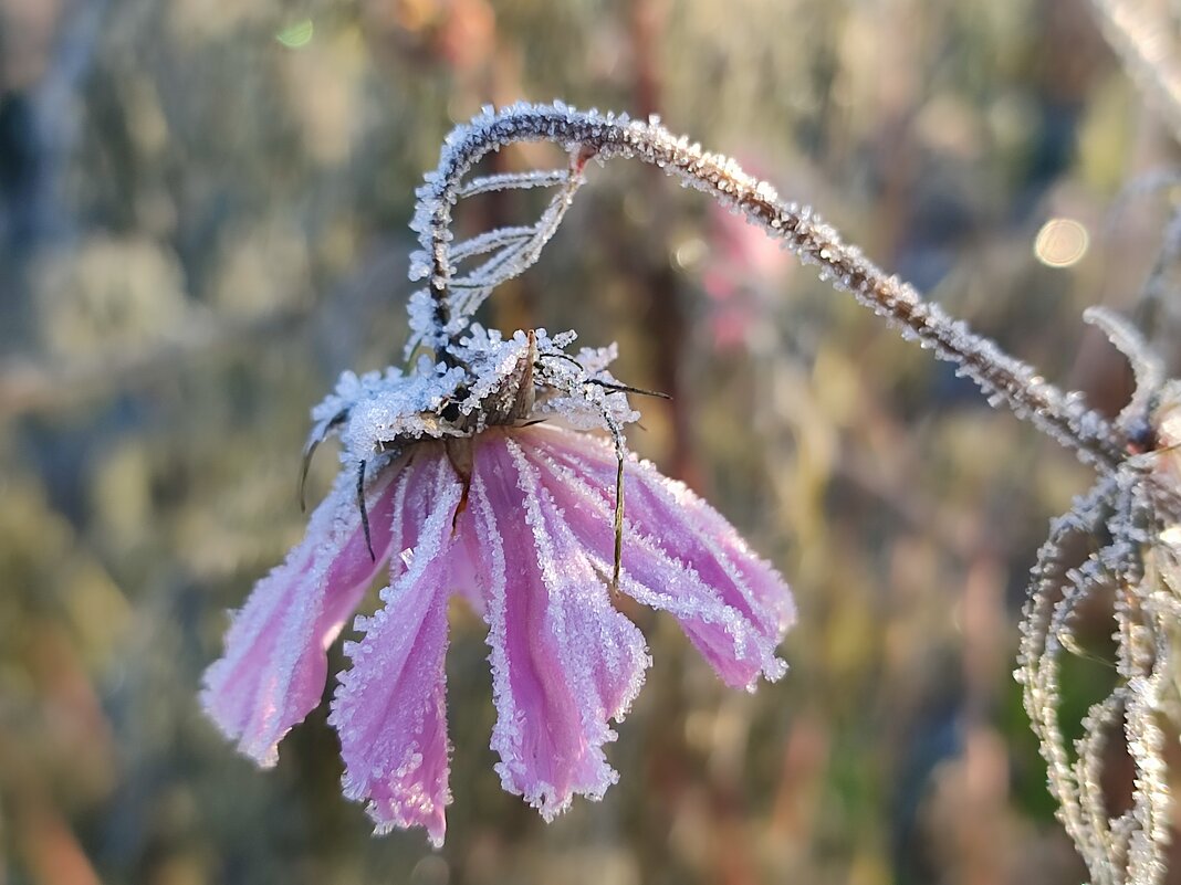 В октябре - Валентина Богатко 