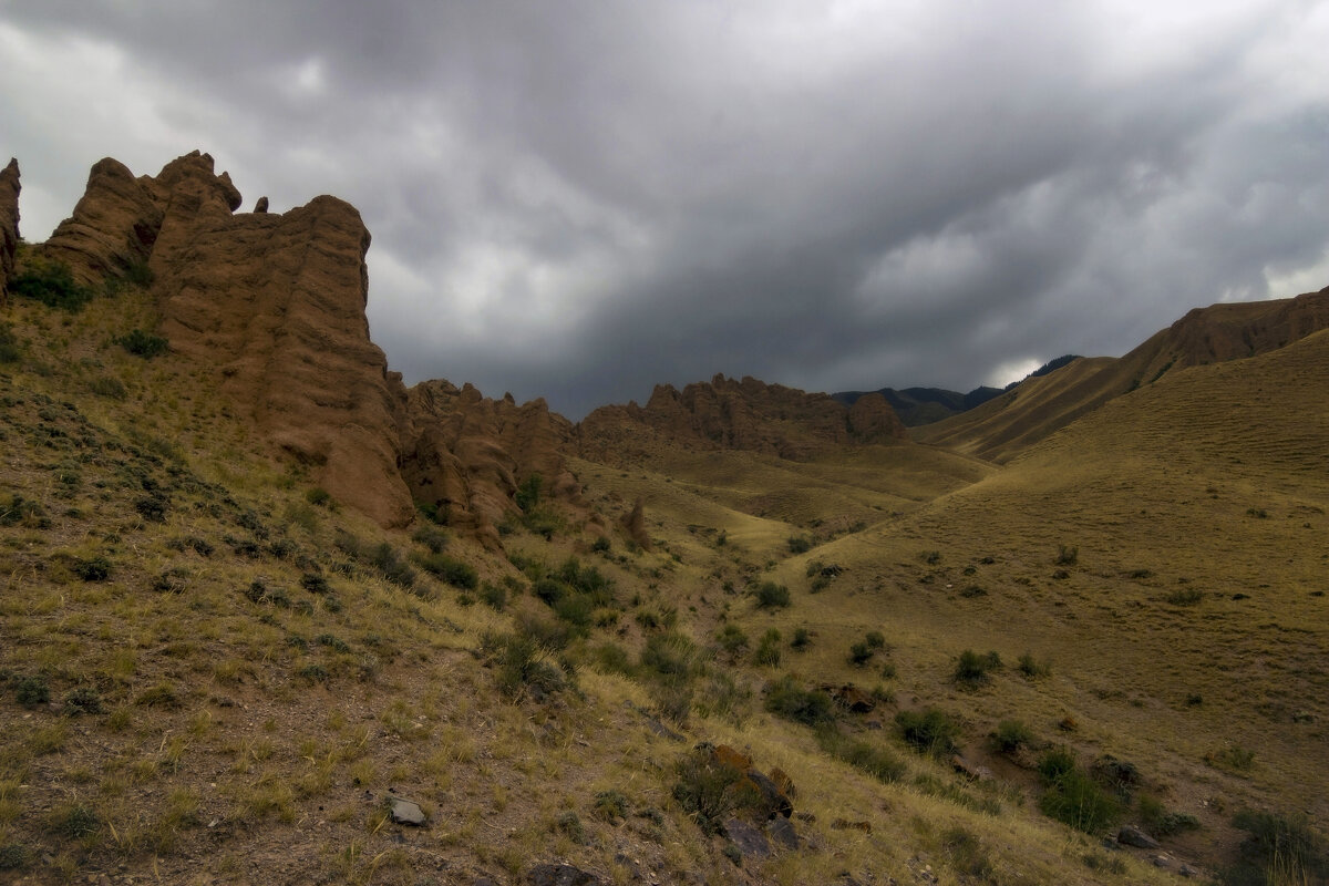 Вдоль дороги необычно - LudMila 