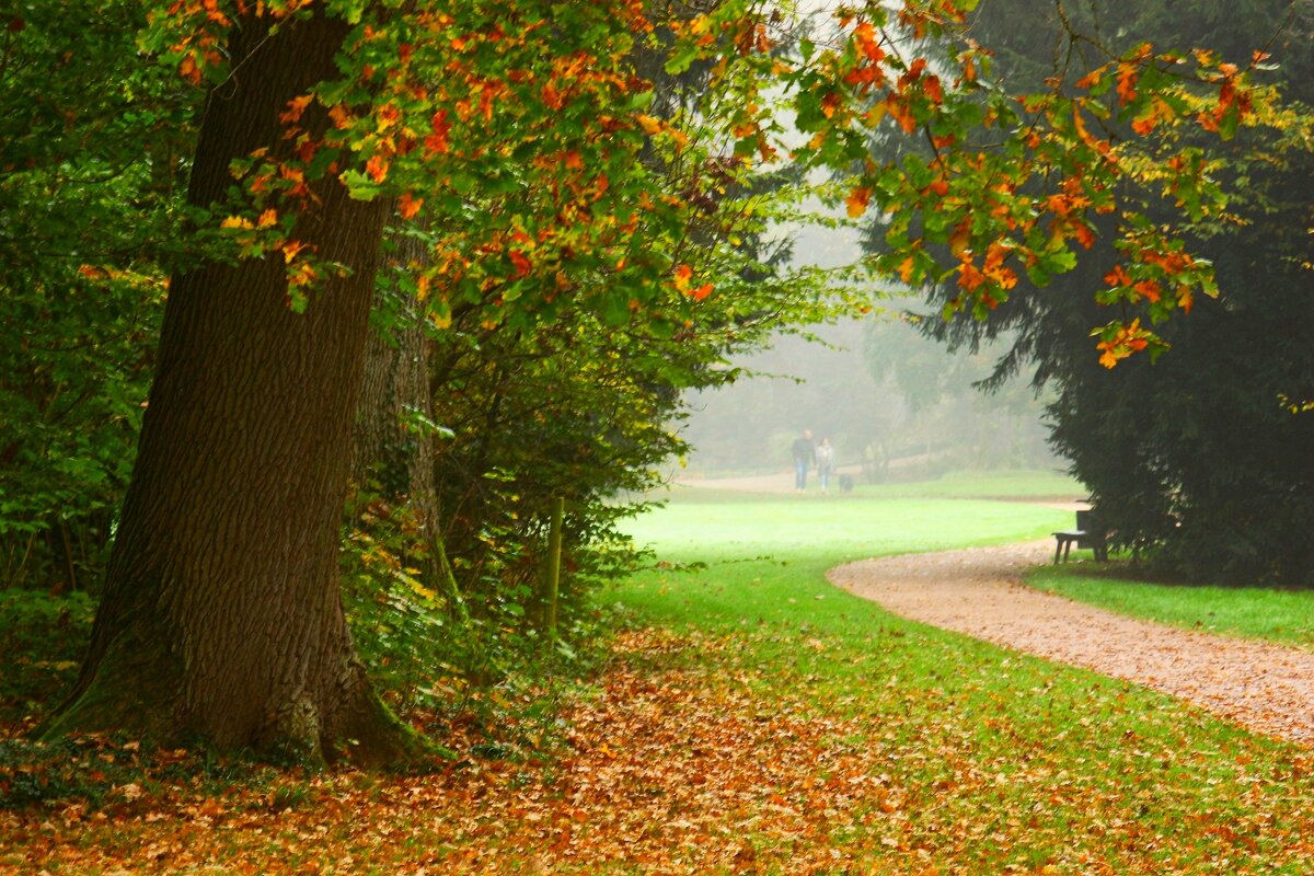Туманное утро - Юрий. Шмаков