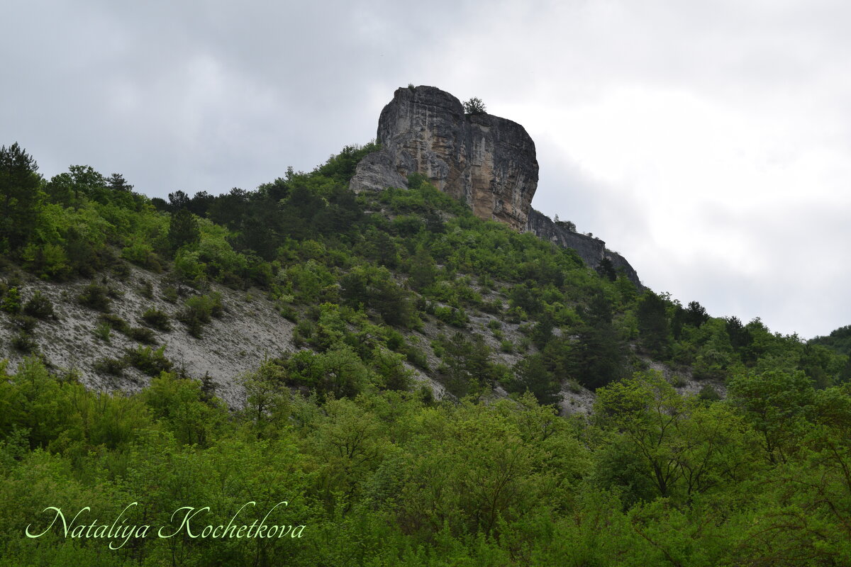 Природа Крыма - Amazing Cosmea