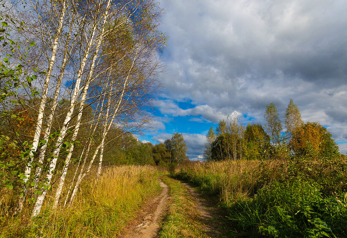 Осень - Андрей Андрианов