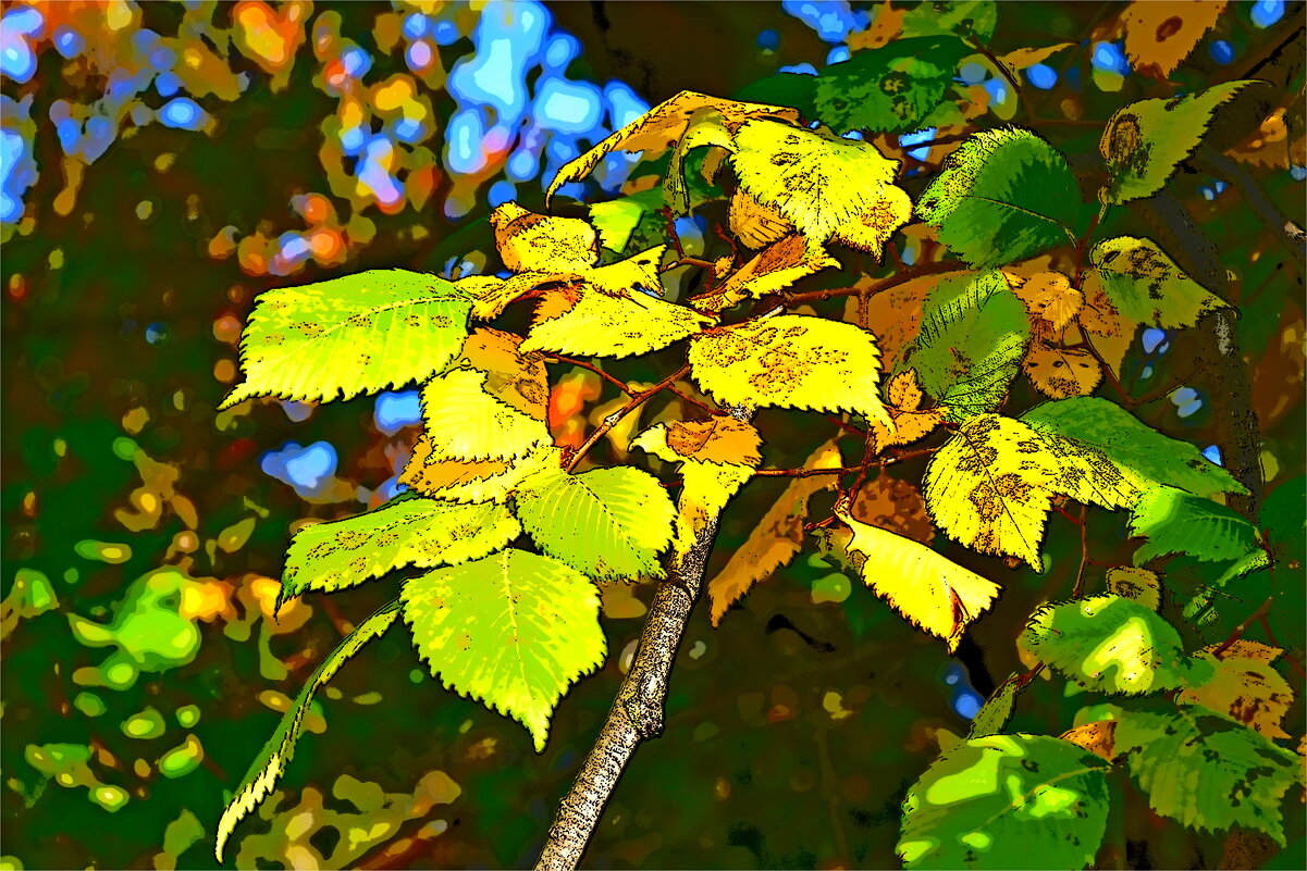 ОСЕНЬ - Юрий Владимирович 34 ОСЕНЬ - Юрий Владимирович 34