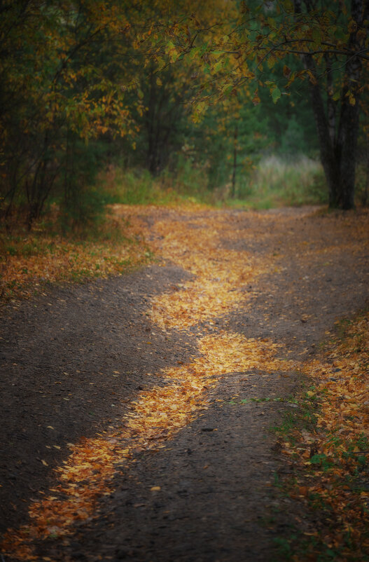 * - Александр Иванов