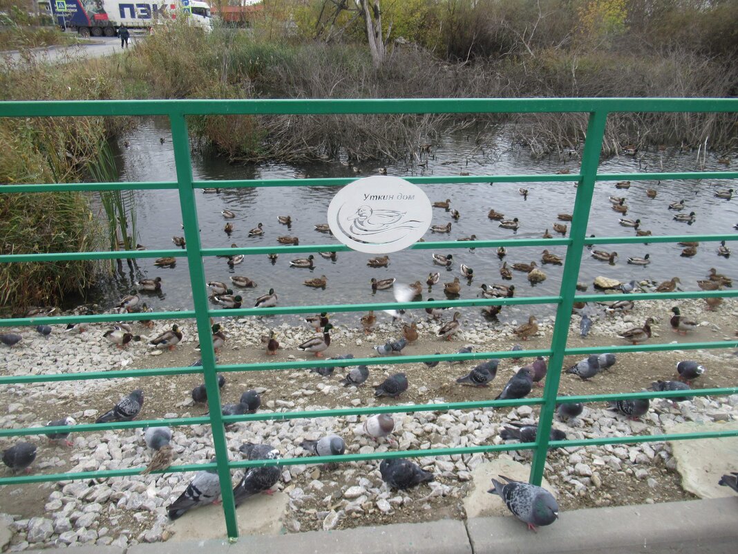 Уткин Дом. Смотровая площадка - Андрей Макурин