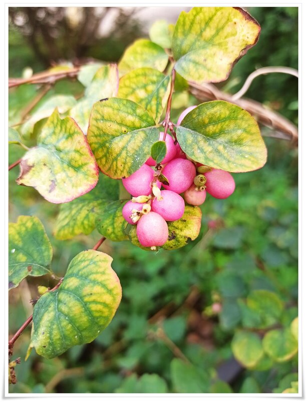 *** - Татьяна Осипова(Deni2048)