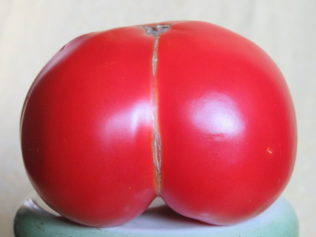 Не стоило присаживаться в крапиву... - Егор Бабанов