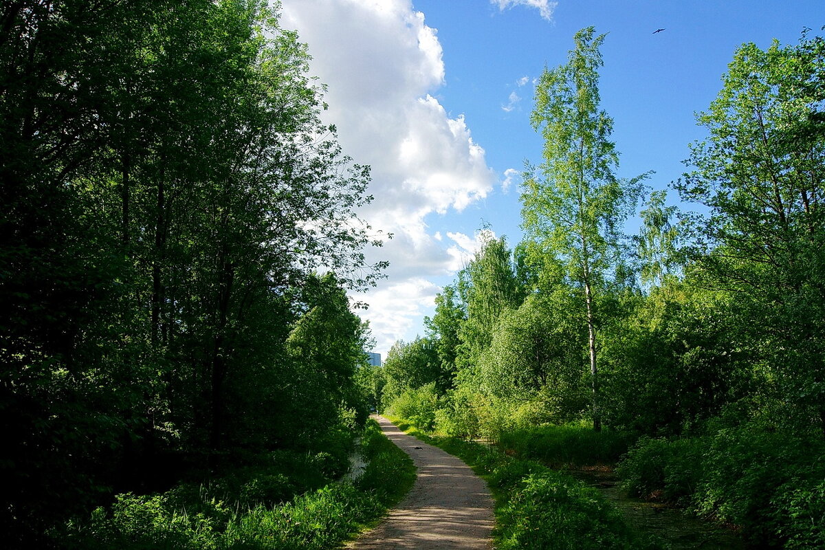 Дорожка в парке... Красивый пейзаж... - Игорь Тельцов