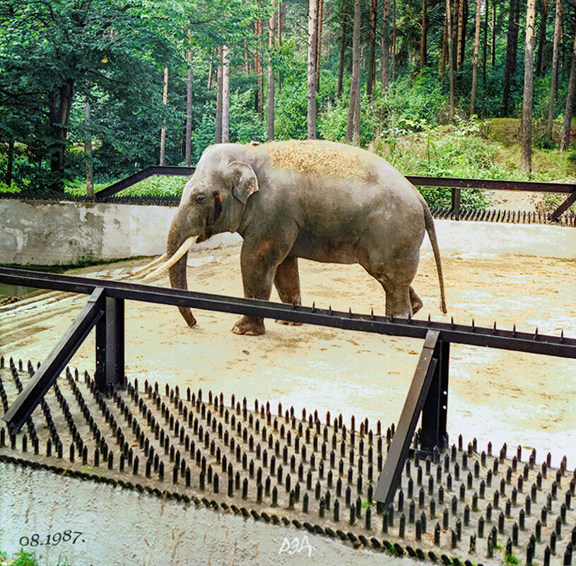 *** - Роланд Дубровский