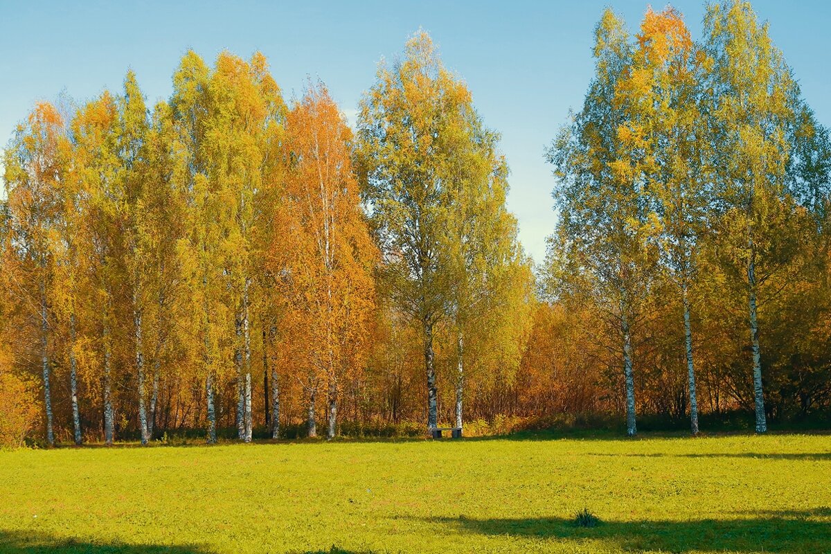 осень - Владимир иванов