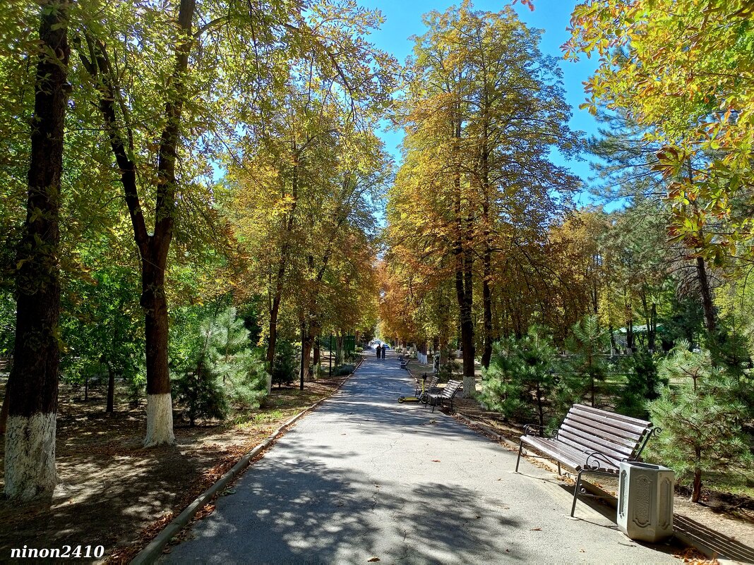 Сентябрь в парке Октября - Нина Бутко