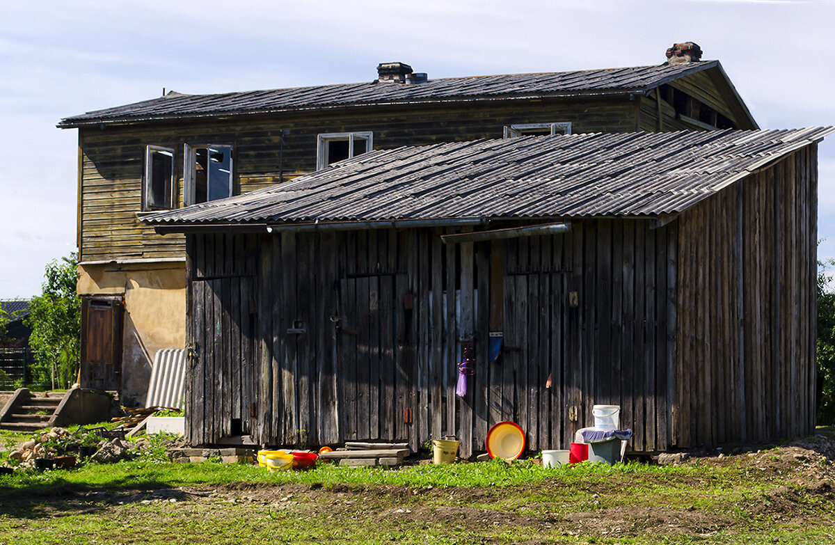 Дворовый натюрморт - Регина 