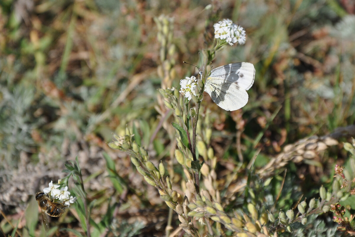 В сентябре на берегу реки - Татьяна Машошина