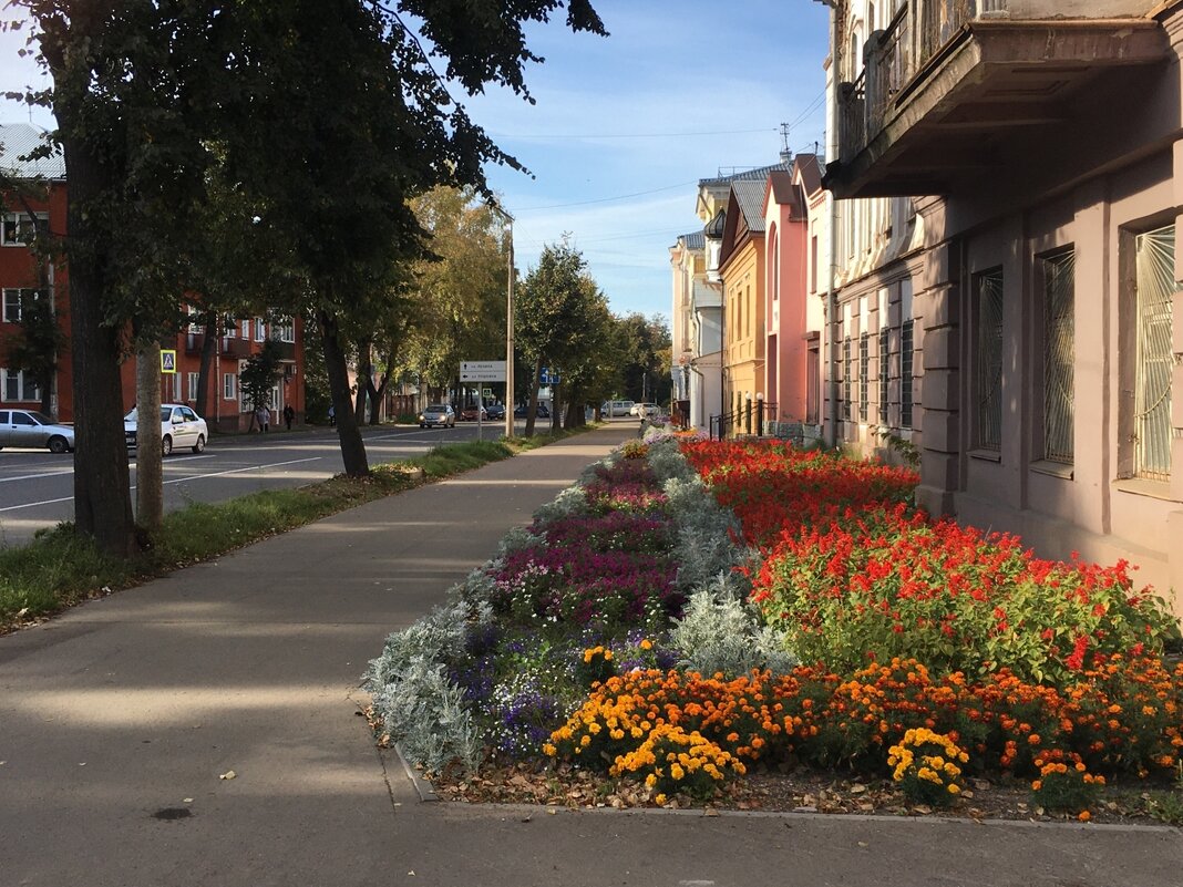 Просто осень... Великие Луки... - Владимир Павлов