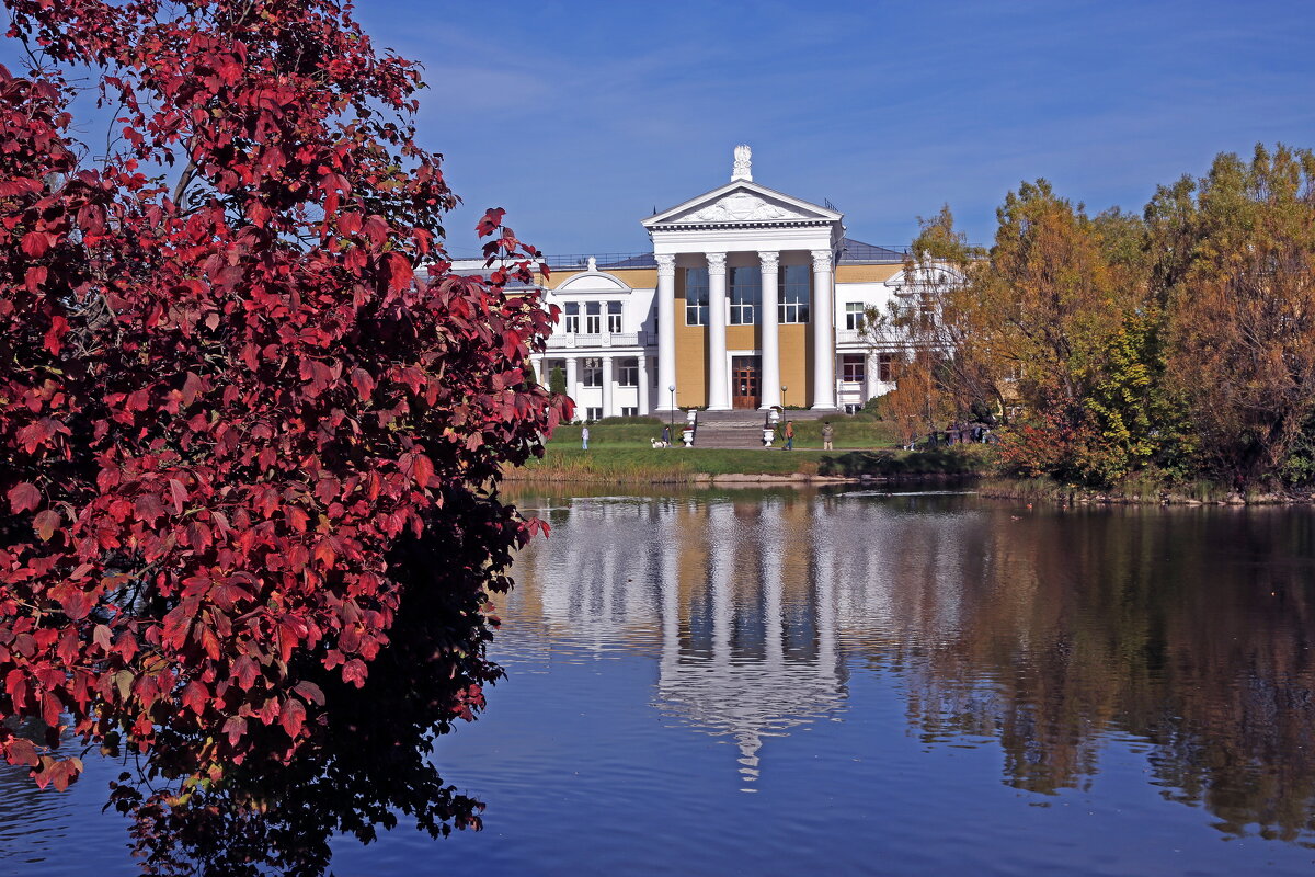 Калина 1 октября в Ботсаду имени Цицина - Михаил Бибичков