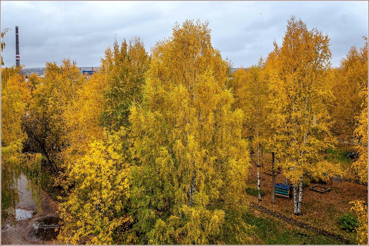 Осенний дождь - Aquarius - Сергей