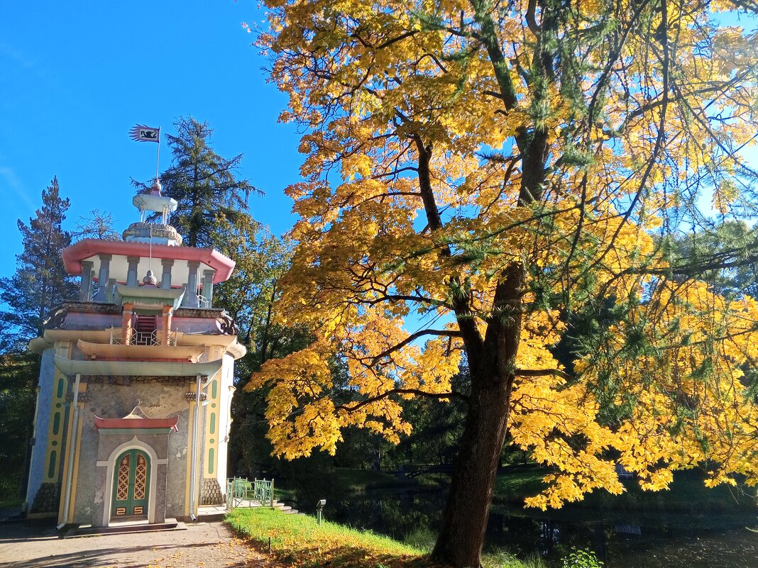 Осень - Сапсан 