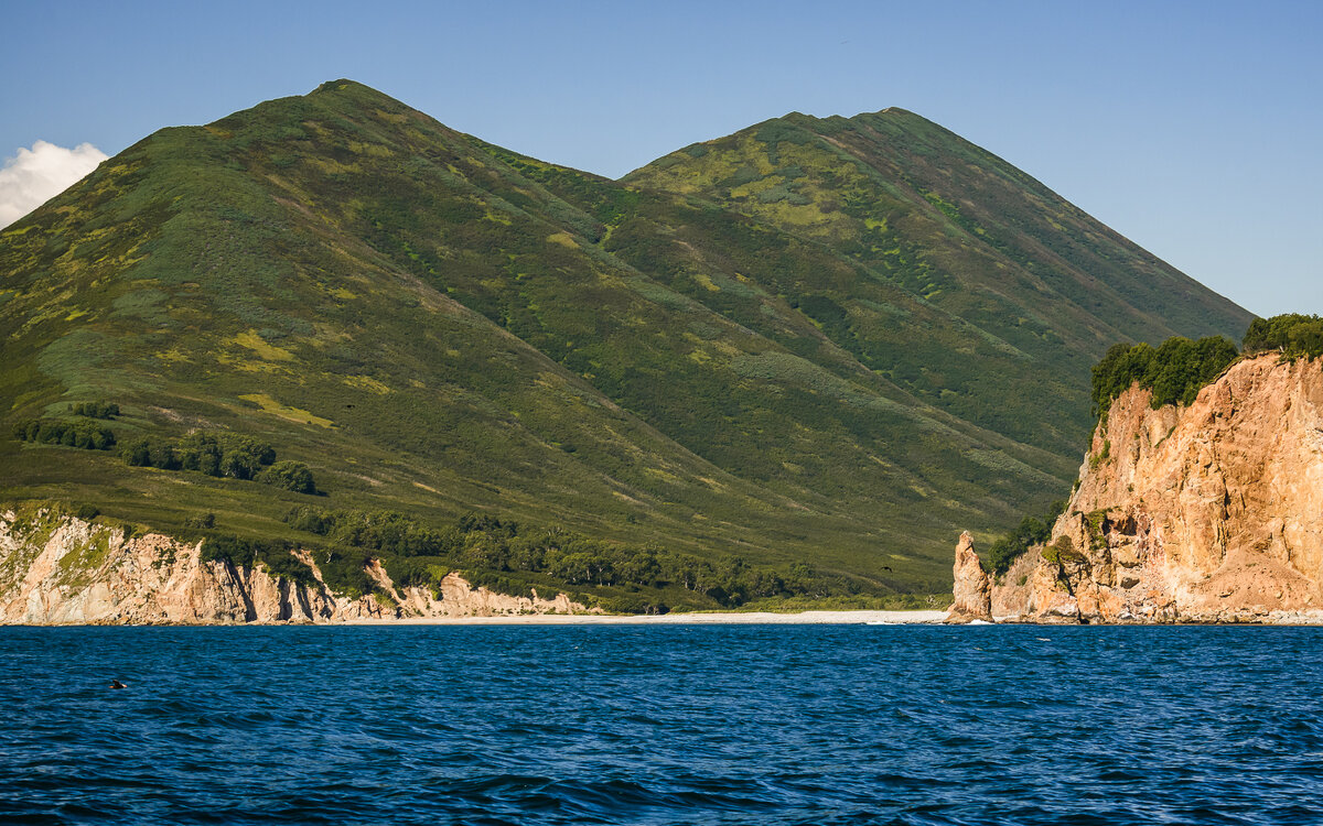 ... - Жора Житников ... - Жора Житников