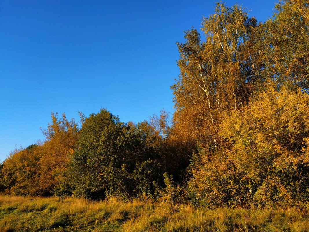 Проводы сентября - Андрей Лукьянов Проводы сентября - Андрей Лукьянов