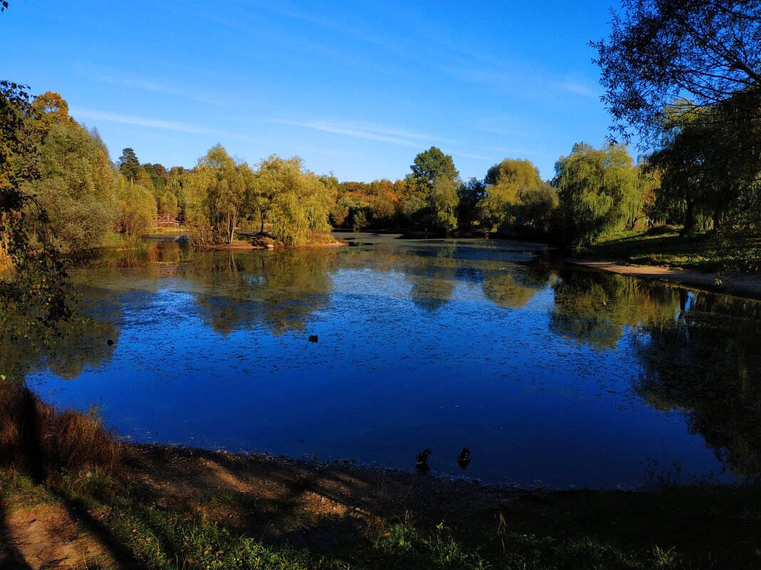 Октябрь уж наступил (Пушкин опять оказался прав) - Андрей Лукьянов