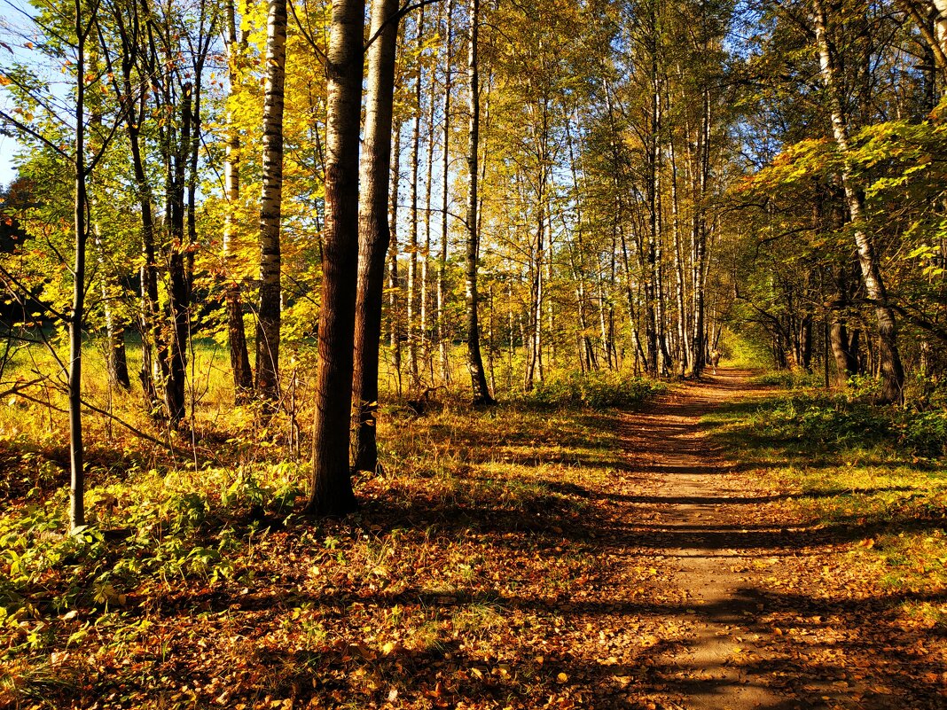 Октябрь уж наступил (Пушкин опять оказался прав) - Андрей Лукьянов