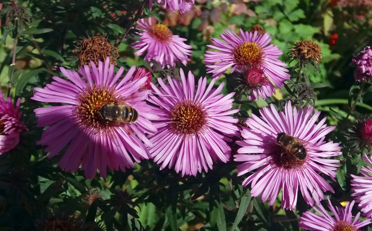 Первый день октября - Galina Solovova
