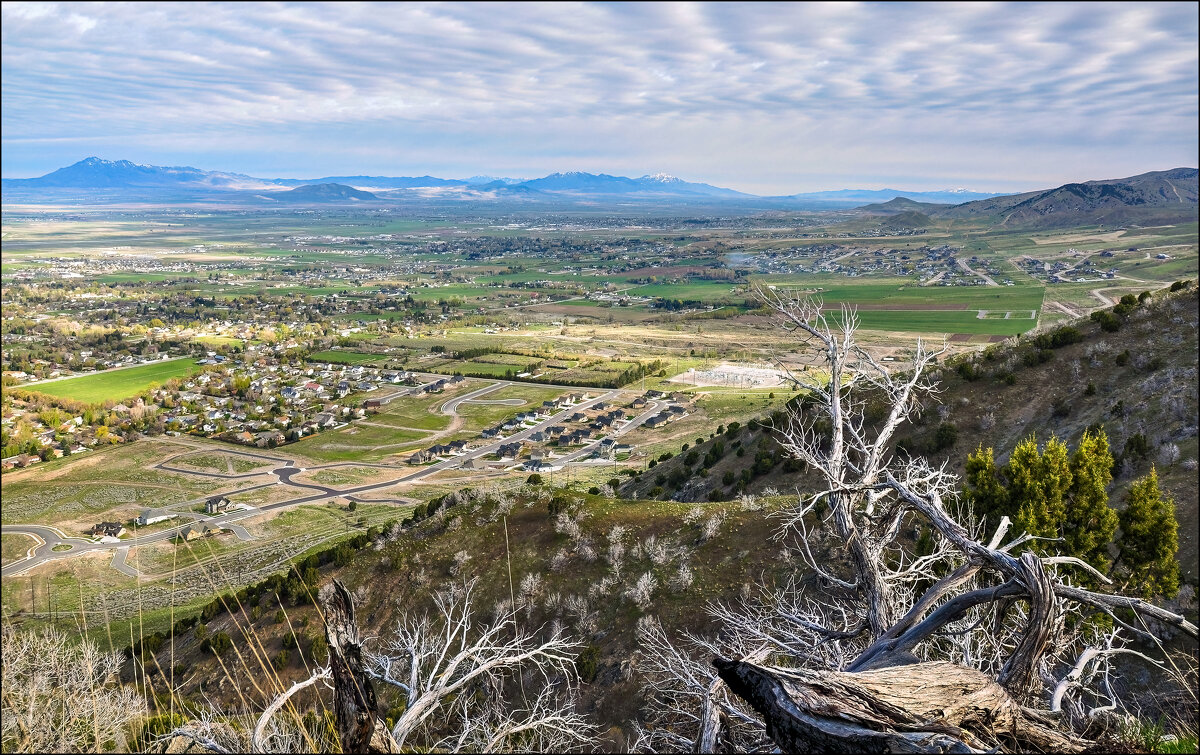 Одноэтажная Америка - **** vedin Одноэтажная Америка - **** vedin