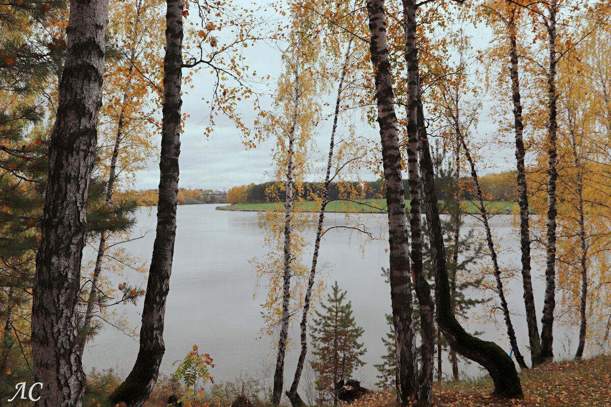 Шагает осень по Уралу - Любовь Сахарова