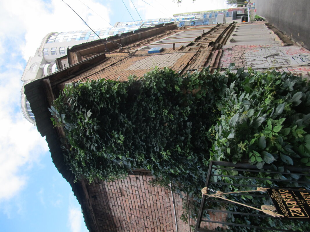 Екатеринбург - Елена Шаламова