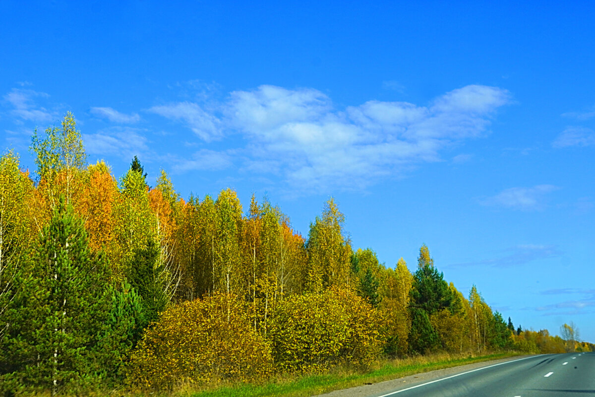По дороге бабьего лета - Галина Кан