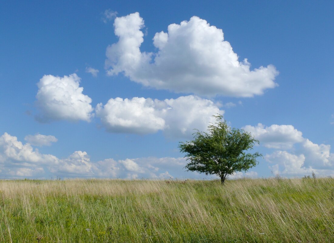 Безмятежность 11 - Елена Елена