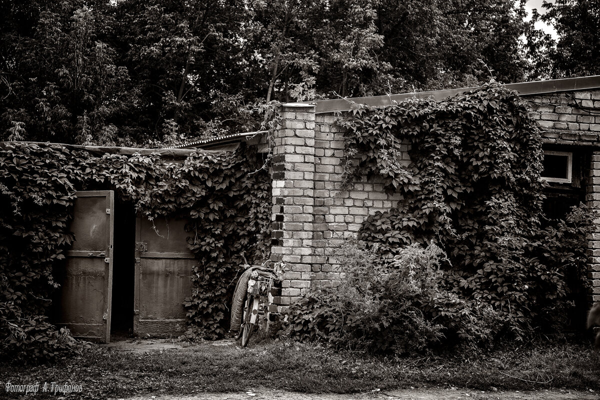 В старых гаражах "Итальянский дворик" - Алексей Трифонов