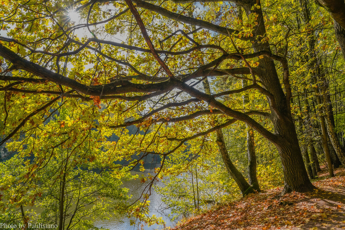 Октябрь в Царицыно... - Владимир Жданов