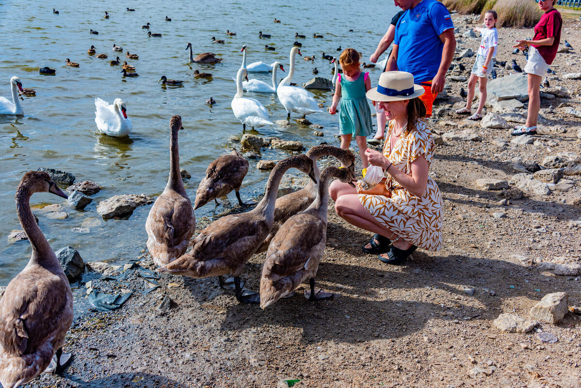 пацаны зерно принесли - Дмитрий Лупандин