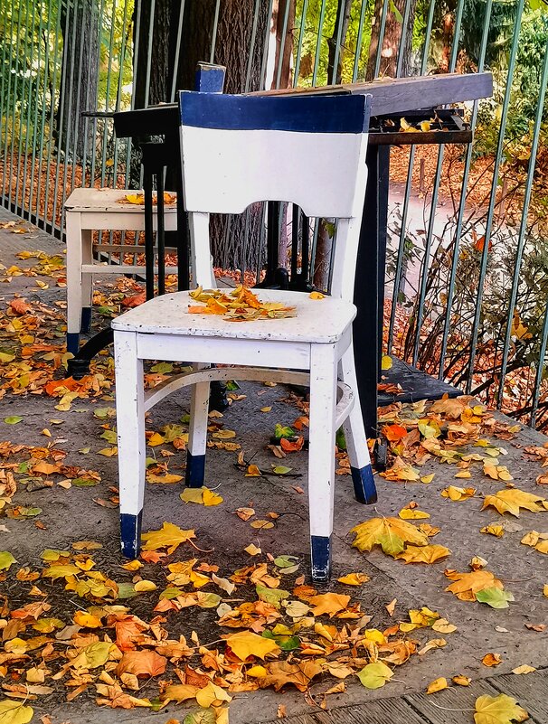 *** - Любимова Ольга 