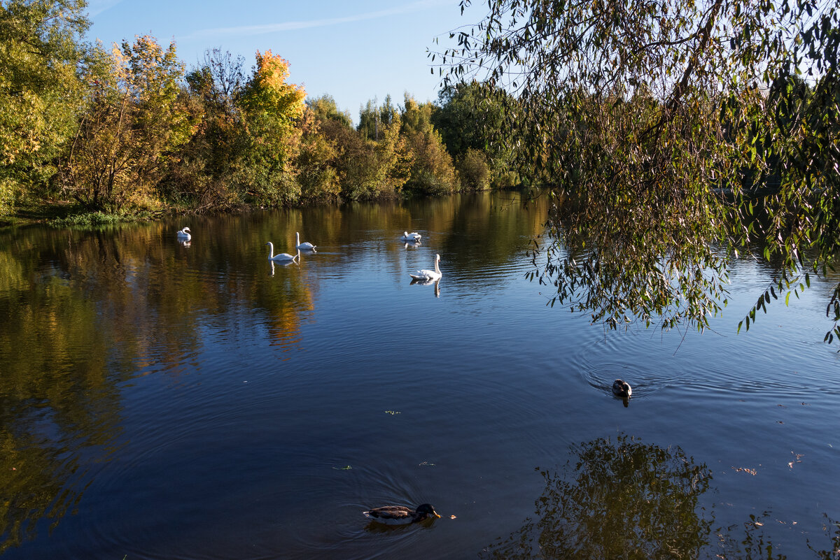 *** - Владимир Безбородов