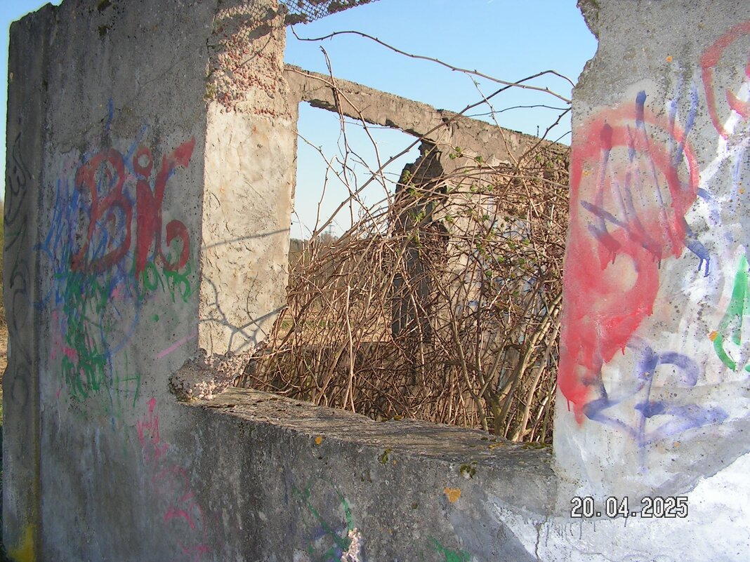 заброшка в поле - fogmeadowww m