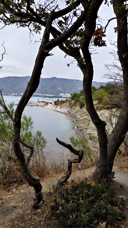 Берег. - Александр Кондаков