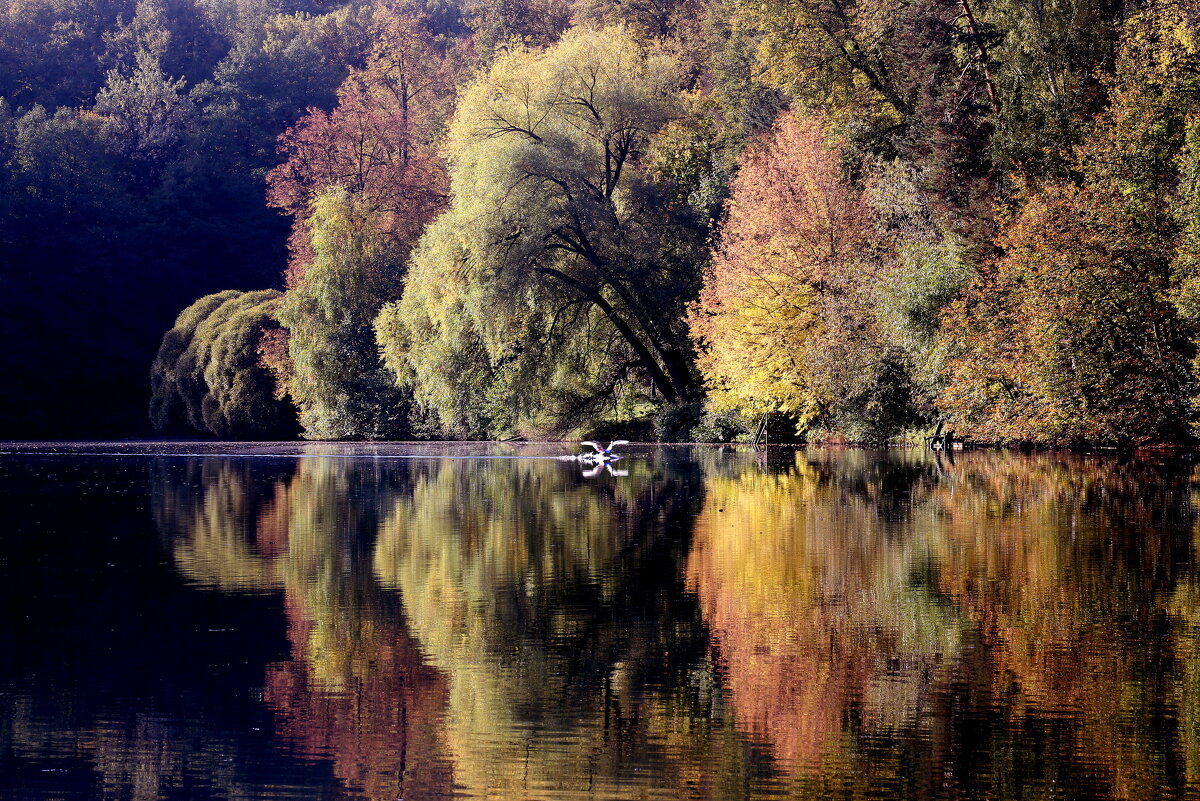 Царицыно 2 октября - Михаил Бибичков